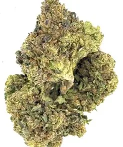 Close-up of a dense cannabis bud showcasing its vibrant green color and unique texture against a white background.