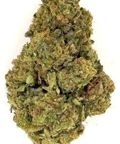 Close-up of a dense cannabis bud showcasing its vibrant green leaves and rich trichomes. Ideal for plant enthusiasts.