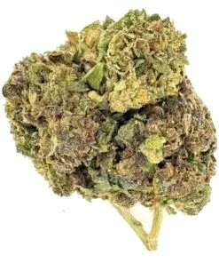 Close-up of textured cannabis buds showcasing vibrant green and earthy tones against a white background.