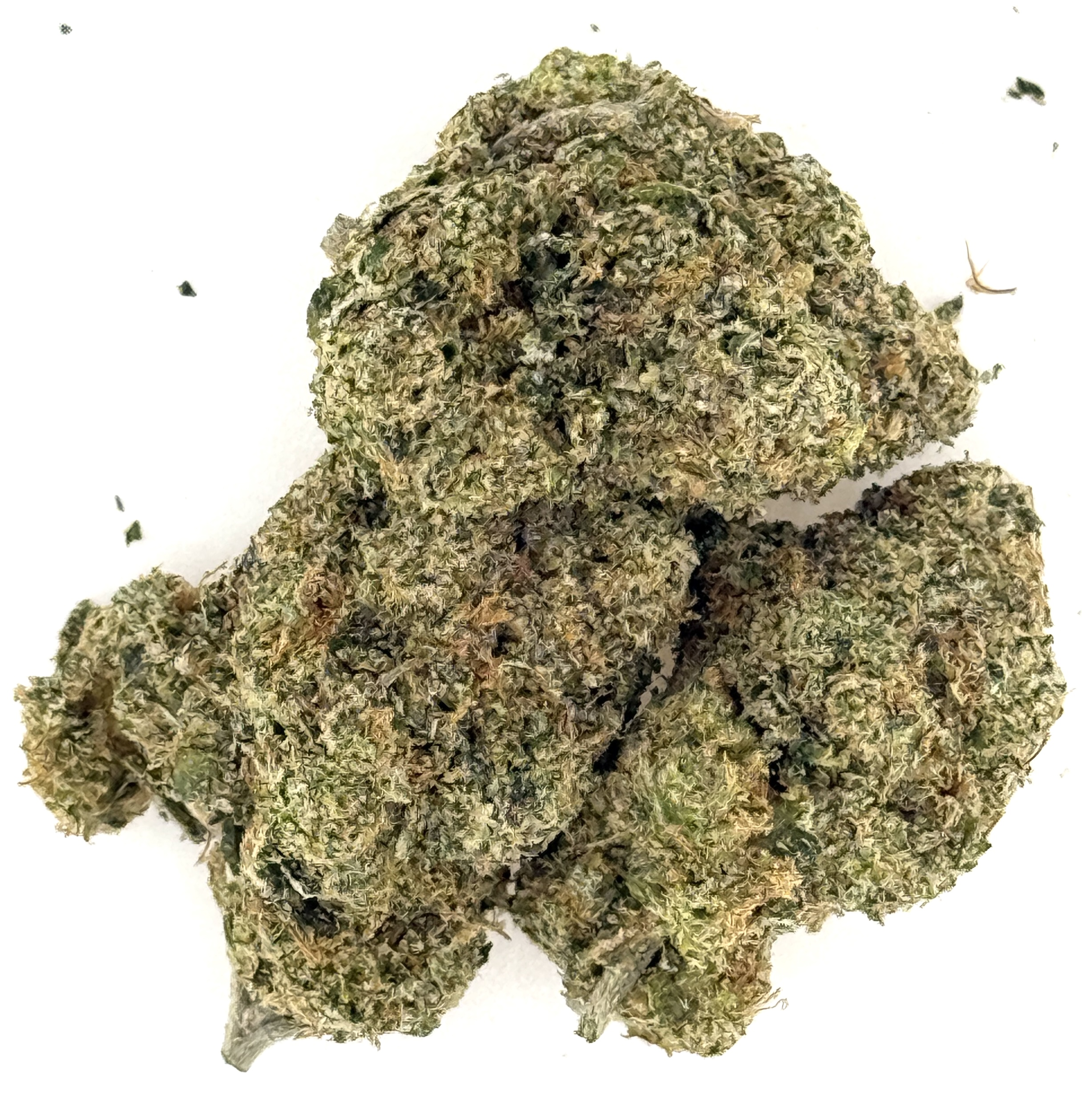 Animal Marker (Ounce) 1 Animal Marker (Ounce)