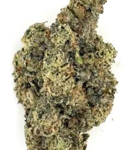 High-quality cannabis bud with dense trichomes, showcasing its vibrant green and brown hues against a white backdrop.