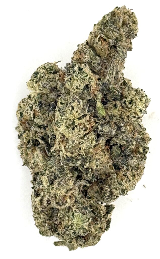 High-quality cannabis bud with dense trichomes, showcasing its vibrant green and brown hues against a white backdrop.