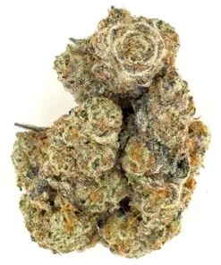 Close-up image of dense, frosty cannabis buds showcasing vibrant green and orange hues. Ideal for cannabis enthusiasts.