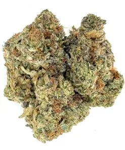 Close-up of cannabis buds displaying rich green and brown hues, showcasing texture and natural beauty.