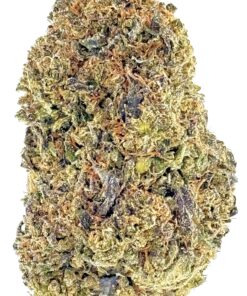 Close-up of a vibrant cannabis bud showcasing its intricate green and brown textures for cannabis enthusiasts.