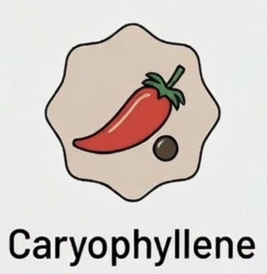 Caryophyllene Icon
