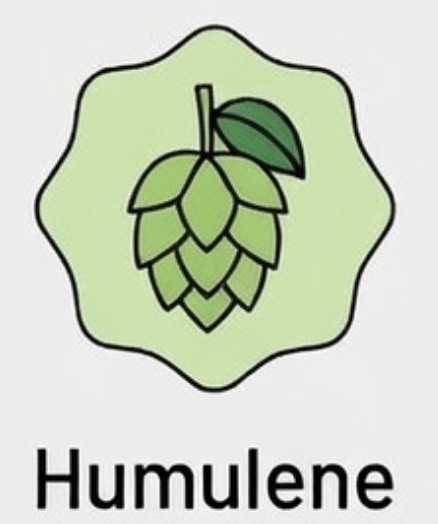 Galactic Gas – 2g Live Resin Disposable Vape | Puff LA 4 Humulene Icon