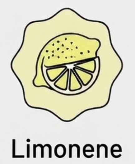 Limonene Icon