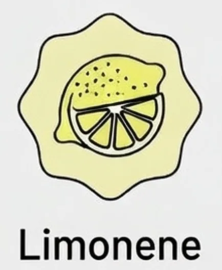 Limonene Icon
