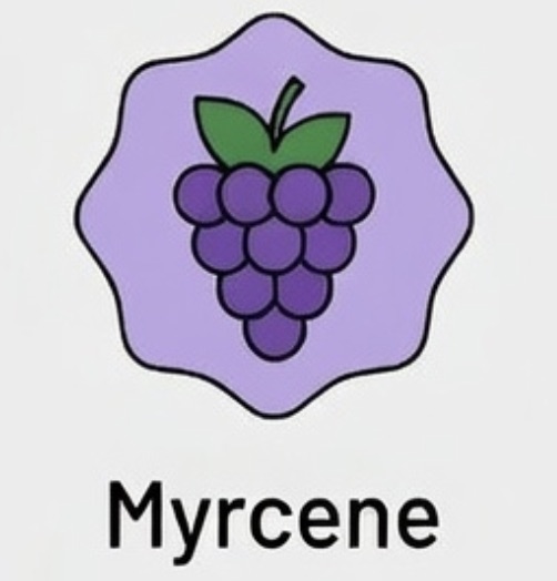 Myrcene Icon