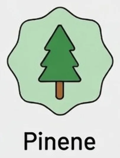 Pinene Icon