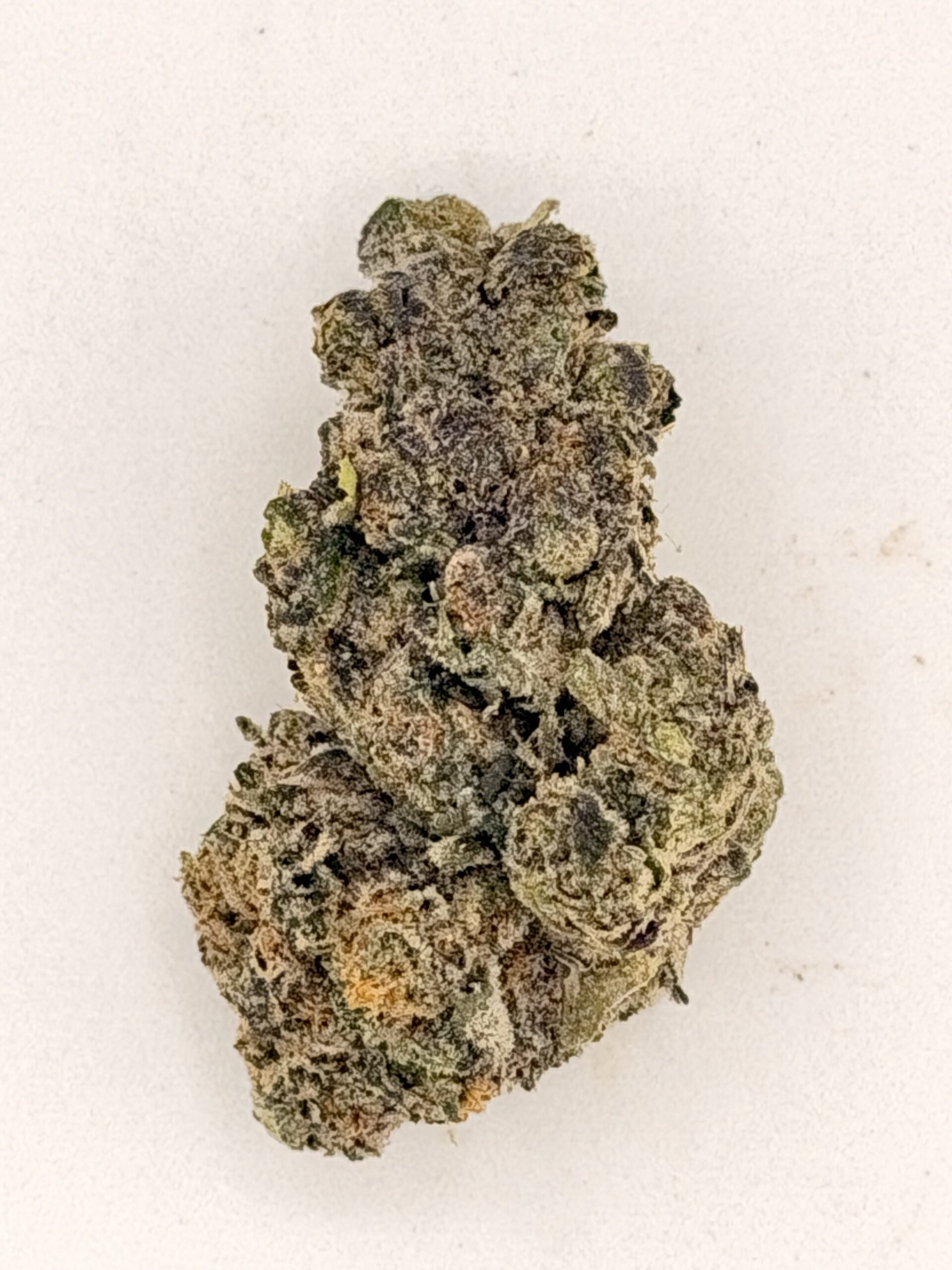 Kosher Kush (Ounce) 1 Kosher Kush (Ounce)