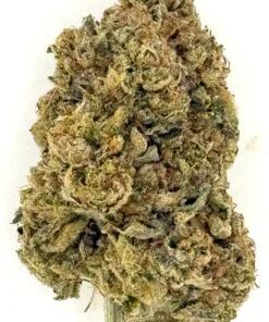 Close-up of a dense cannabis bud, showcasing its texture and coloration, ideal for educational or product imagery.