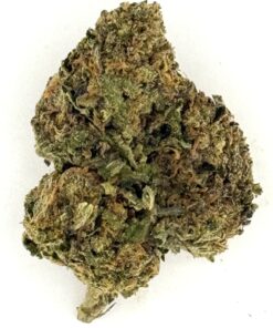 Gruntz (Ounce)