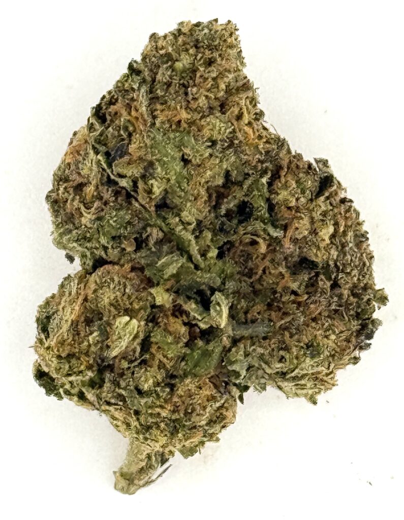Close-up of a cannabis flower with green and brown hues, showcasing rich texture and trichome details.