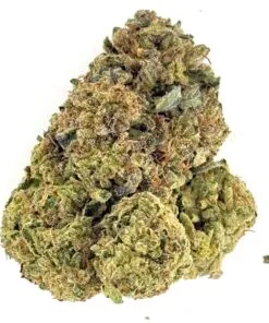 Close-up of high-quality cannabis buds showcasing vibrant green color and rich texture against a white background.