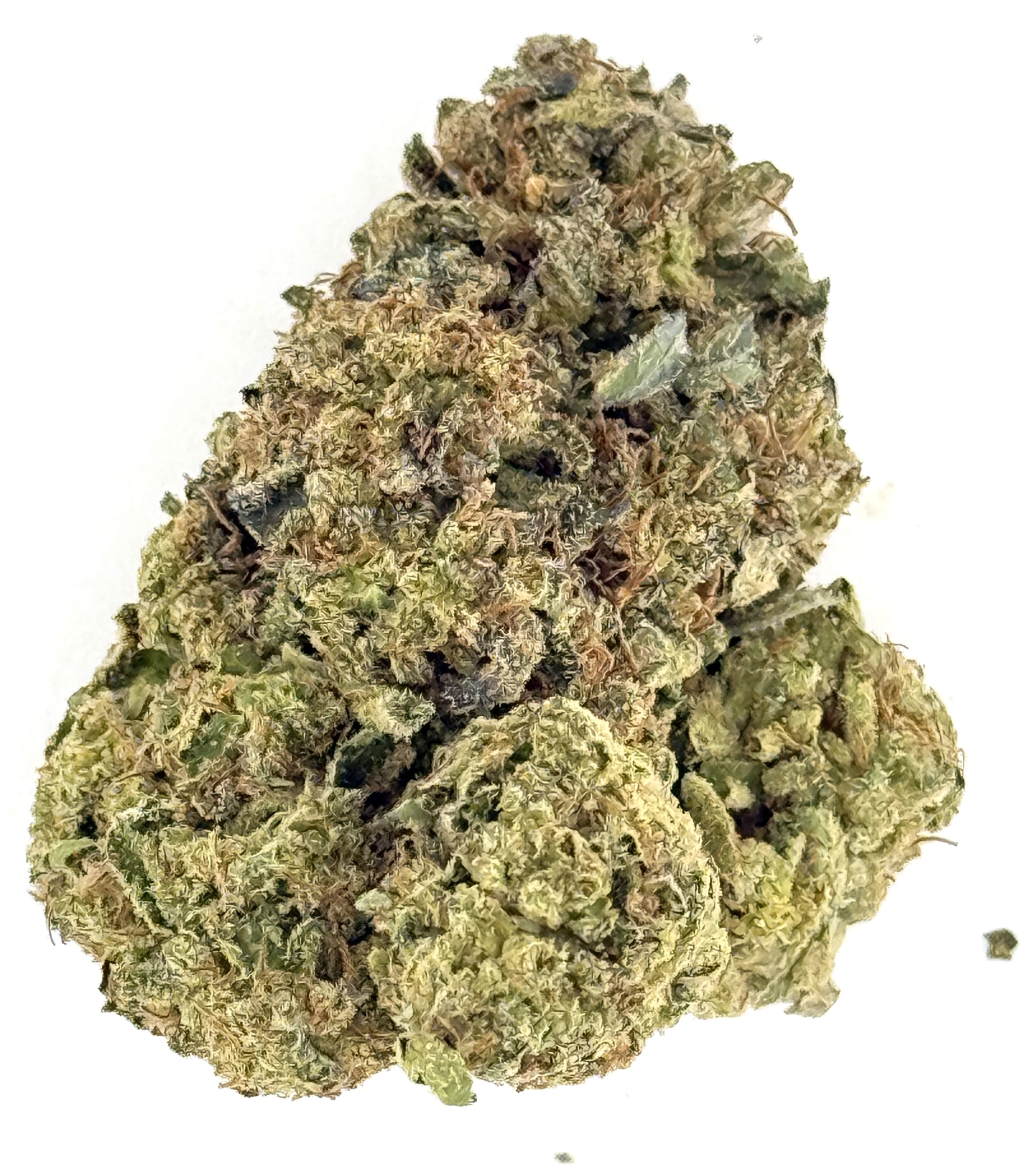 Rainbow Sherbert 11 (Ounce) 1 Rainbow Sherbert 11 (Ounce)