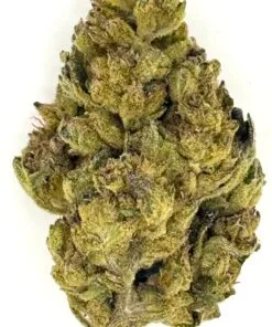 Close-up of high-quality cannabis bud showcasing rich green hues and resinous trichomes, ideal for medicinal use.