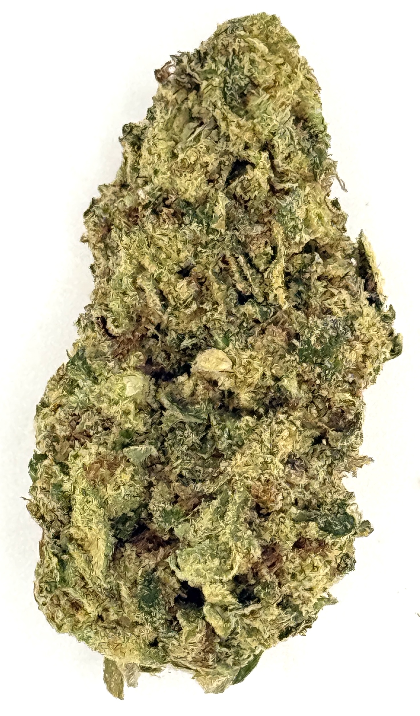 Pink Certz 1 Pink Certz