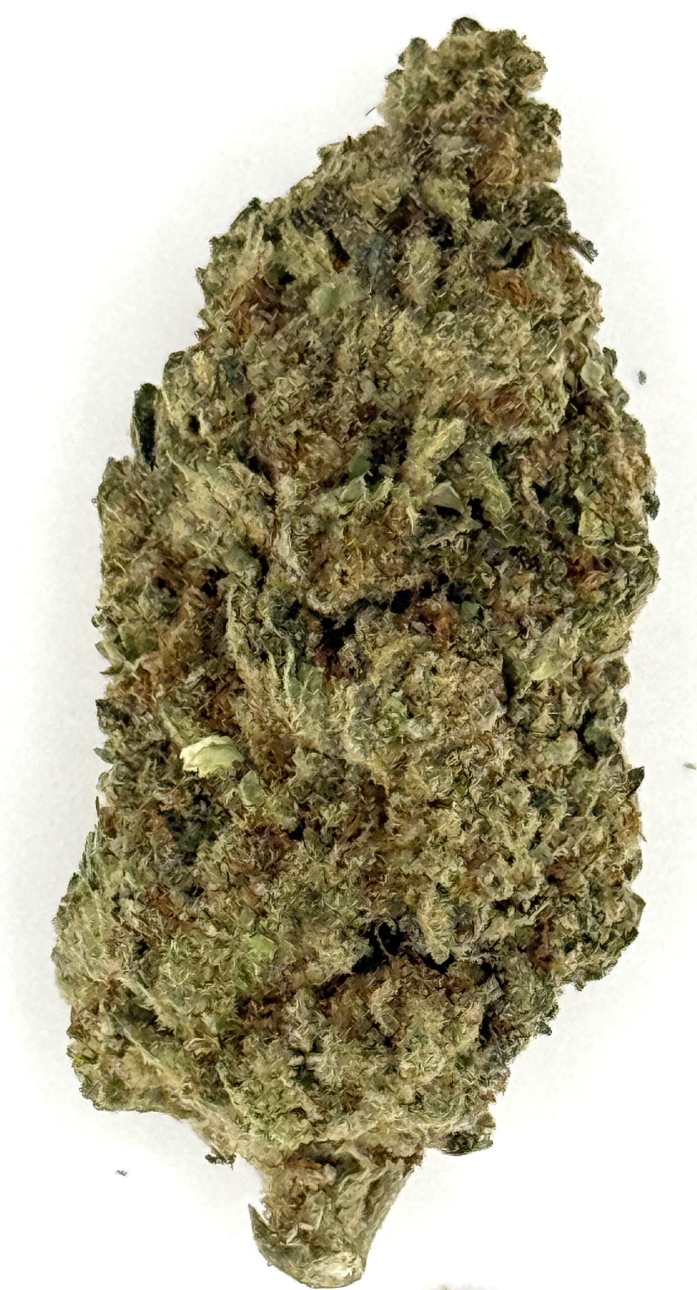 Blackout Cookies (Ounce) 1 Blackout Cookies (Ounce)