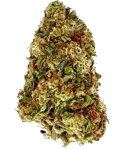 Purple Punch cannabis flower, same-day delivery NYC - MetroBud