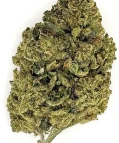 Close-up of green cannabis bud