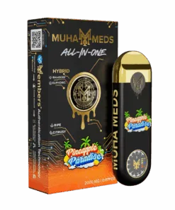 Pineapple Paradise - 2g Disposable Vape | MuhaMeds