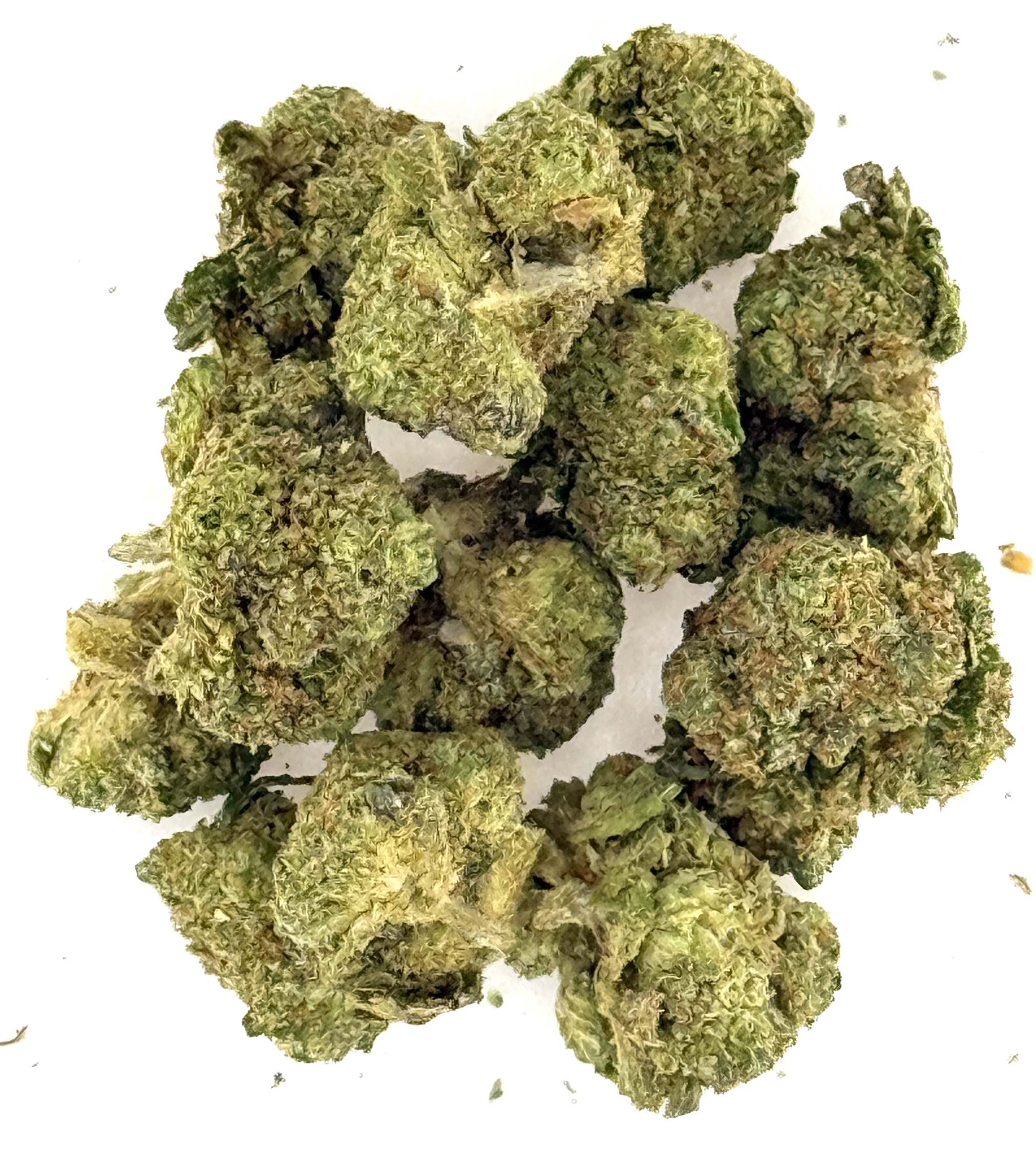 Mega Z Blue (Ounce) 1 Mega Z Blue (Ounce)