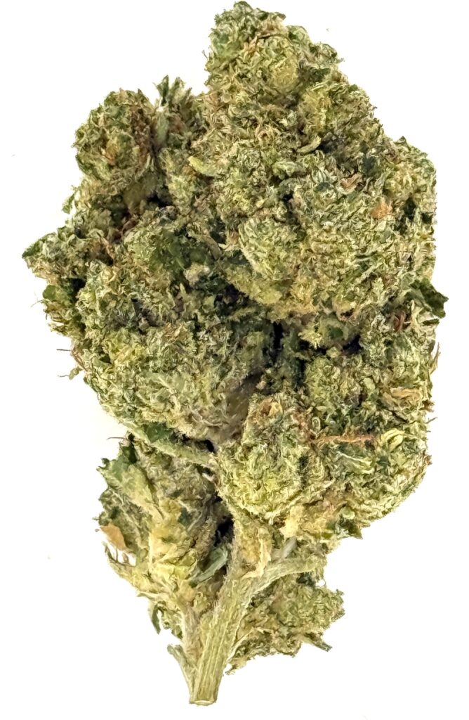 Zours