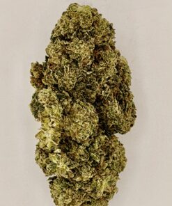 Acapulco Kush
