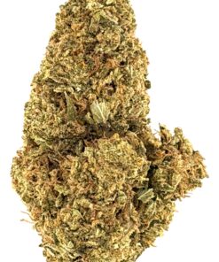 P85 OG