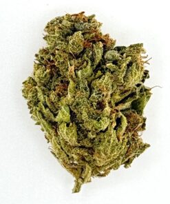 Zuava (Ounce)