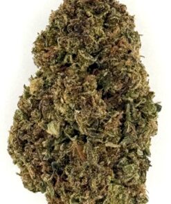 Close-up of a green cannabis bud showcasing its dense texture and rich coloration, ideal for medicinal or recreational use.