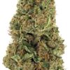 Close-up of a dense cannabis bud, showcasing its vibrant green hues and trichome-covered surface for premium quality.