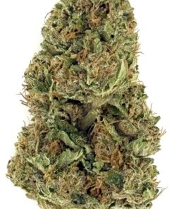 Close-up of a dense cannabis bud, showcasing its vibrant green hues and trichome-covered surface for premium quality.