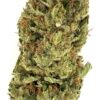 Close-up of a vibrant cannabis flower with rich green and orange hues, showcasing its texture and trichomes.