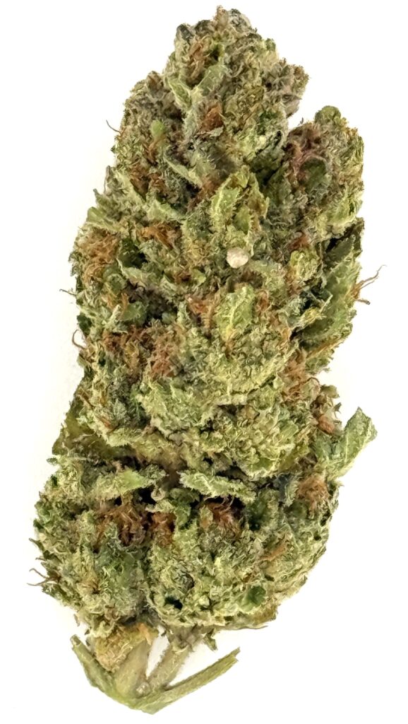 Close-up of a vibrant cannabis flower with rich green and orange hues, showcasing its texture and trichomes.