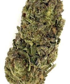 Close-up of a high-quality cannabis bud featuring vibrant green hues and dense trichomes on a white background.