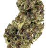 Close-up of cannabis bud showcasing trichomes, vibrant greens, and purples, highlighting its rich texture and quality.