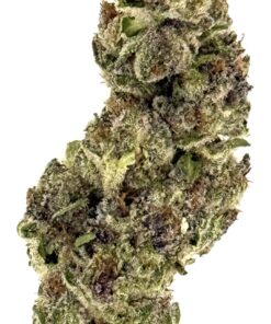 Close-up of cannabis bud showcasing trichomes, vibrant greens, and purples, highlighting its rich texture and quality.