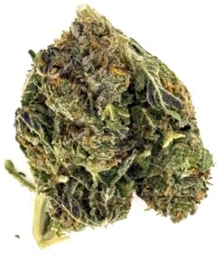 Close-up of a cannabis nug, showcasing its green and purple hues, rich trichomes, and unique texture.
