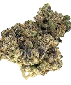 Close-up of vibrant cannabis buds showcasing green hues and purple accents, ideal for discussing strains and effects.