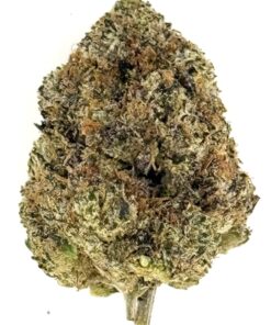Close-up of a green cannabis bud showcasing its dense trichomes and natural textures on a white background.