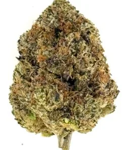 Close-up of a green cannabis bud showcasing its dense trichomes and natural textures on a white background.