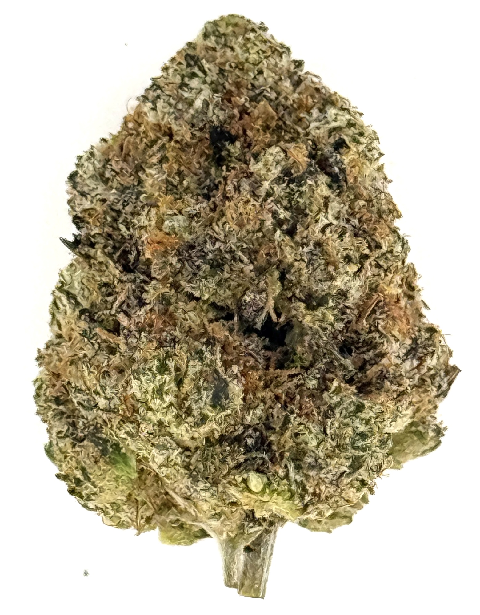 Blue Gumbo (Ounce) 1 Close-up of a green cannabis bud showcasing its dense trichomes and natural textures on a white background.