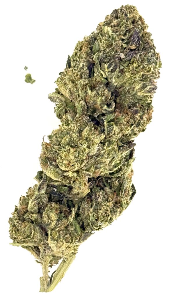 Close-up of high-quality cannabis bud showcasing its vibrant green color and dense, frosted texture.