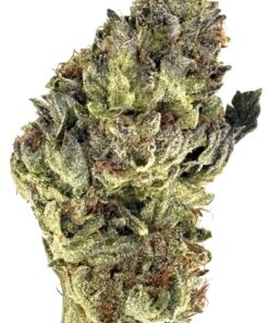 Close-up of a green cannabis bud with rich trichomes and textured leaves, showcasing its diverse colors and structure.