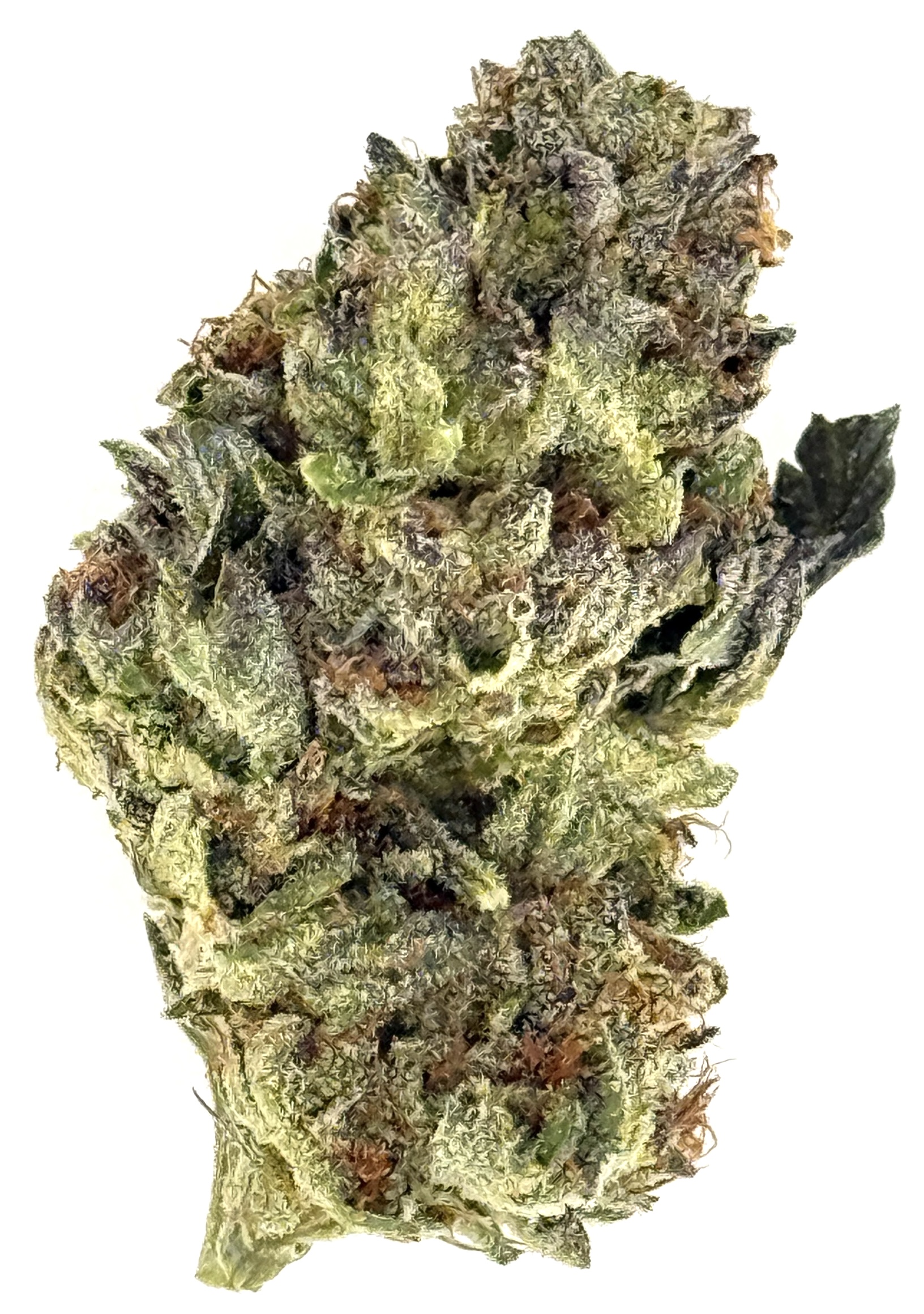 Cookie Dough (Ounce) 1 Close-up of a green cannabis bud with rich trichomes and textured leaves, showcasing its diverse colors and structure.