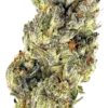 Close-up of a vibrant cannabis flower, showcasing its rich green tones and crystalline trichomes. Ideal for enthusiasts.
