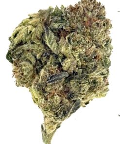Close-up of a dense cannabis bud showcasing vibrant green hues and frosty trichomes, ideal for recreational use.